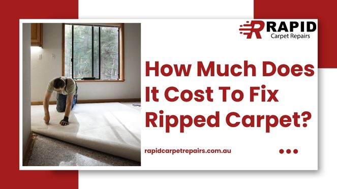 How Much Does It Cost To Fix Ripped Carpet?