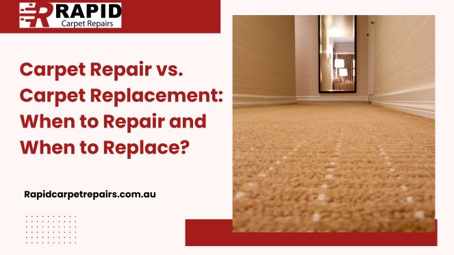 Carpet Repair vs. Carpet Replacement: When to Repair and When to Replace?