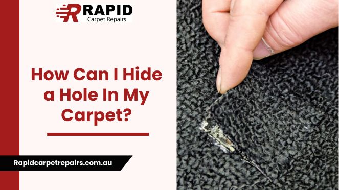 How Can I Hide a Hole In My Carpet?