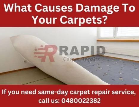 What Cause Damage Your Carpets
