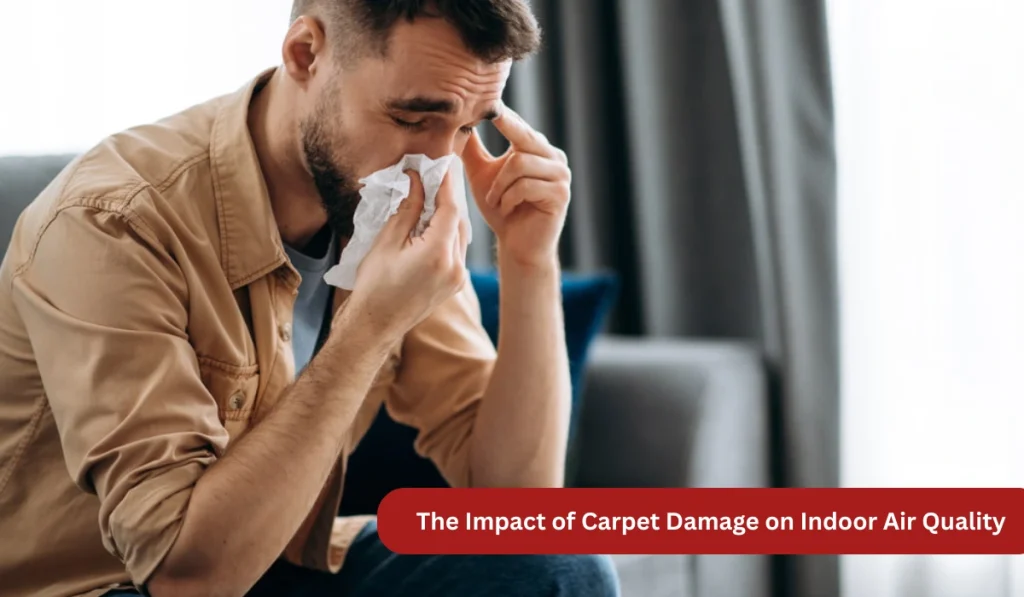 Person rubbing their nose with a tissue, looking uncomfortable on indoor air quality