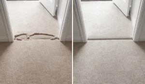 How to Fix Carpet Seam in the Doorway in Southbank Apartments?